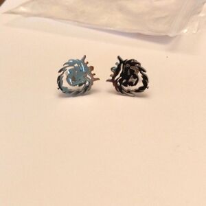 Silver stainless steel Lion 🦁 and crown earrings